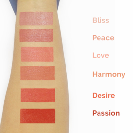 Demi Mattes - Organic Rosehip Lipstick - Desire