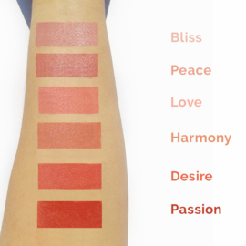 Demi Mattes - Organic Rosehip Lipstick - Love