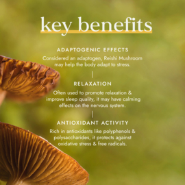 Fushi - Organic Reishi Mushroom - 60 capsules