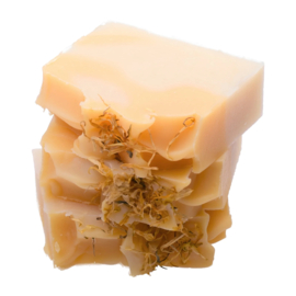 Van Toen - Aloe Vera zeep