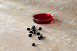 Vegan - Astaxanthin Supplement – “Red Gold”