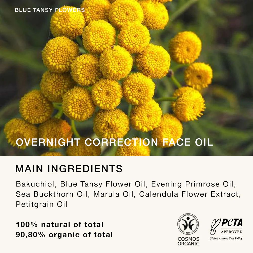 Overnight Correction Face Oil
