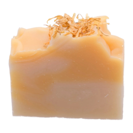 Van Toen - Aloe Vera zeep