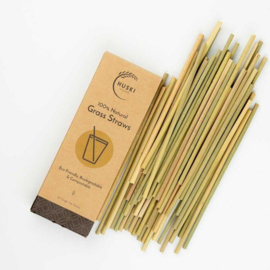 Biodegradable drinking straws