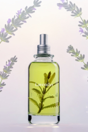 Jimmy Boyd - Lavender - New Packaging