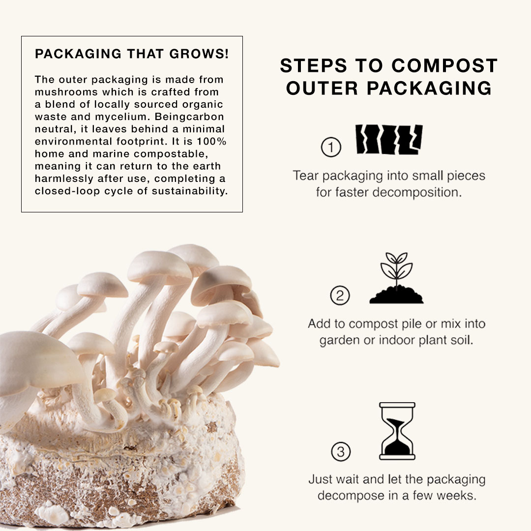 Birch Sap Facial Cleanser ( Mushroom Pack)
