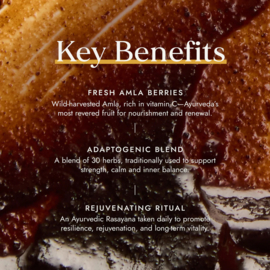 Fushi - Chyawanprash 250g