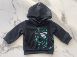 Baby jongens trui | sweater met capuchon Dinosaurus "Zwart"