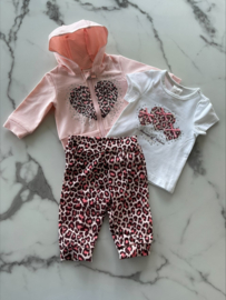 Baby meisjes setje 3 delig Roze met panterprint "Princess" bestaande uit een broek, t-shirt en een vest