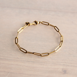 Stalen D-chain armband – goud