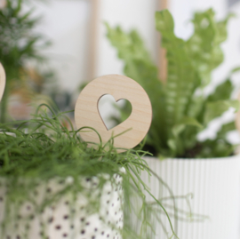 (Planten)steker - Hartje Rond