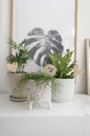 (Planten)steker - Hartje Rond
