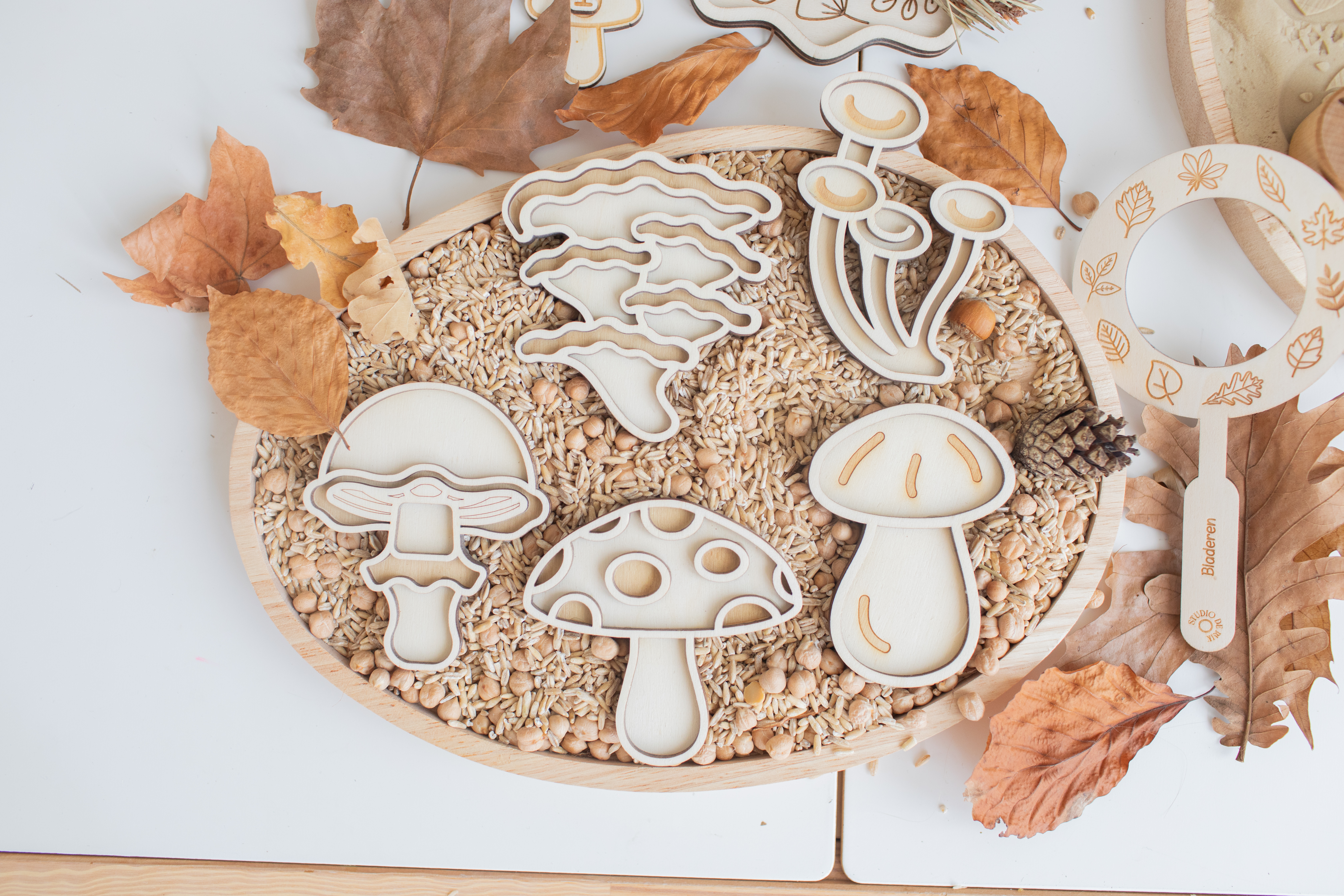 Speeltray miniset - Paddestoelen