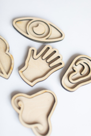 Houten minispeeltrayset -Zintuigen -