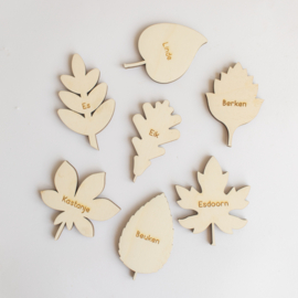 Mini speeltrayset - Bladeren leren (set van 7) -