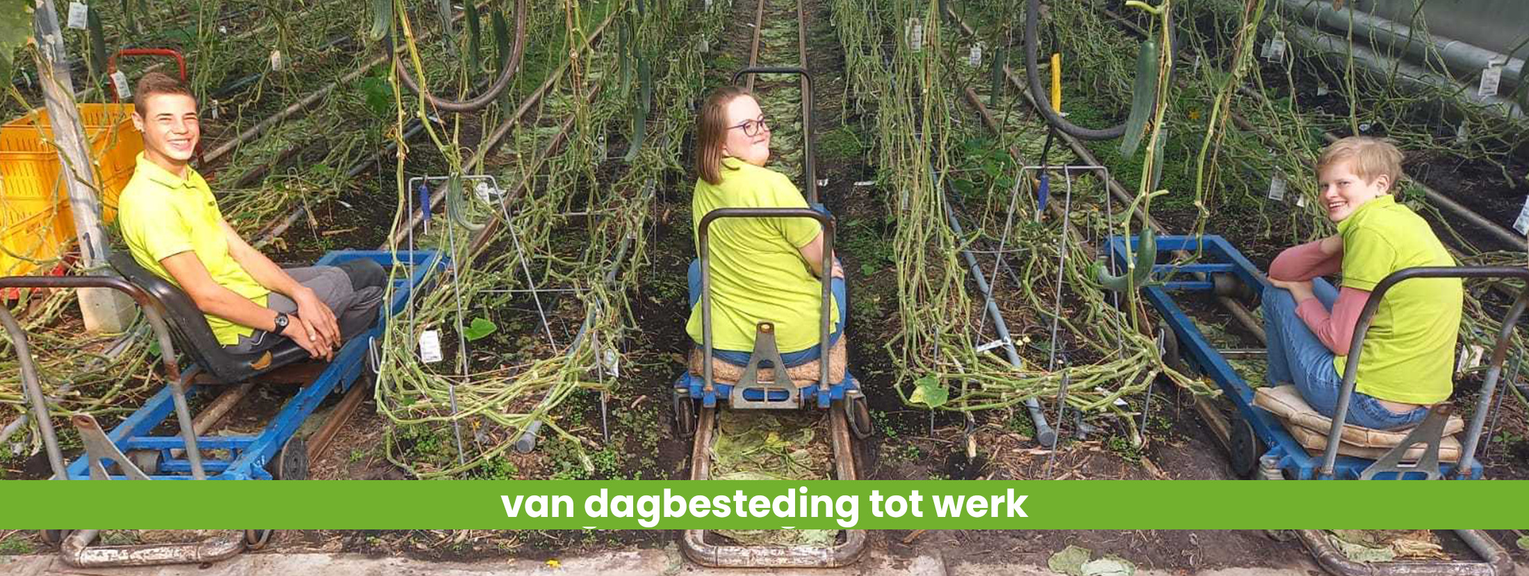 van dagbesteding tot werk