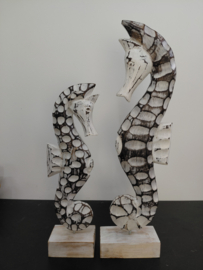 Prachtige set zeepaarden