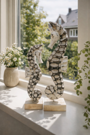 Prachtige set zeepaarden