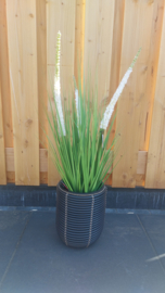 Luxe buitenplant inclusief pot