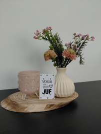 Juf set compleet