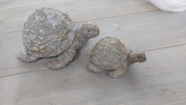 Luxe schildpad klein