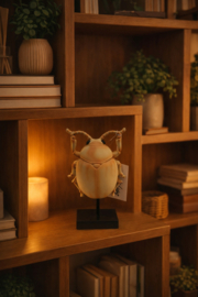 Ornamentje op voet beige gemeleerd