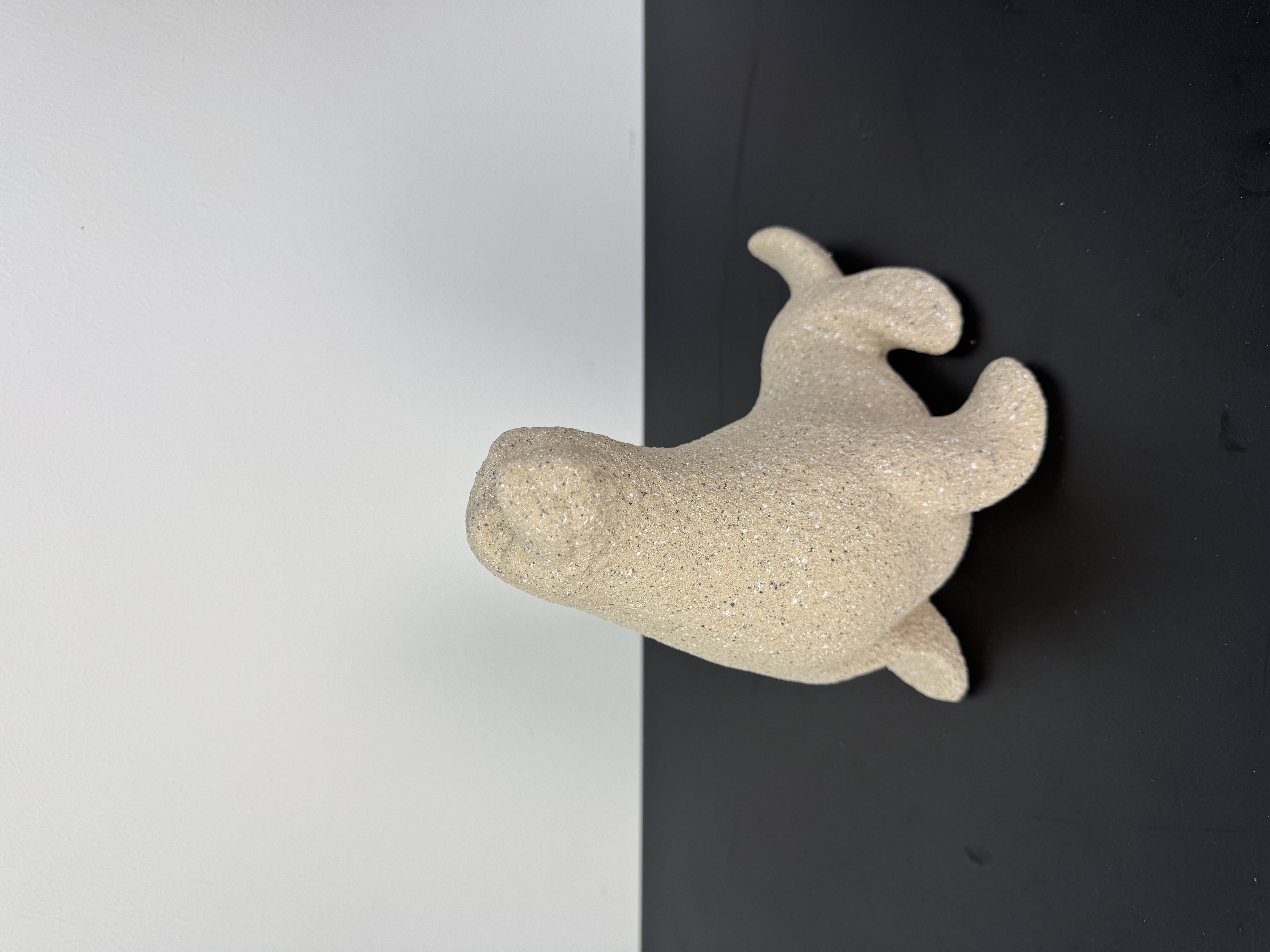 Decoratie zeehond