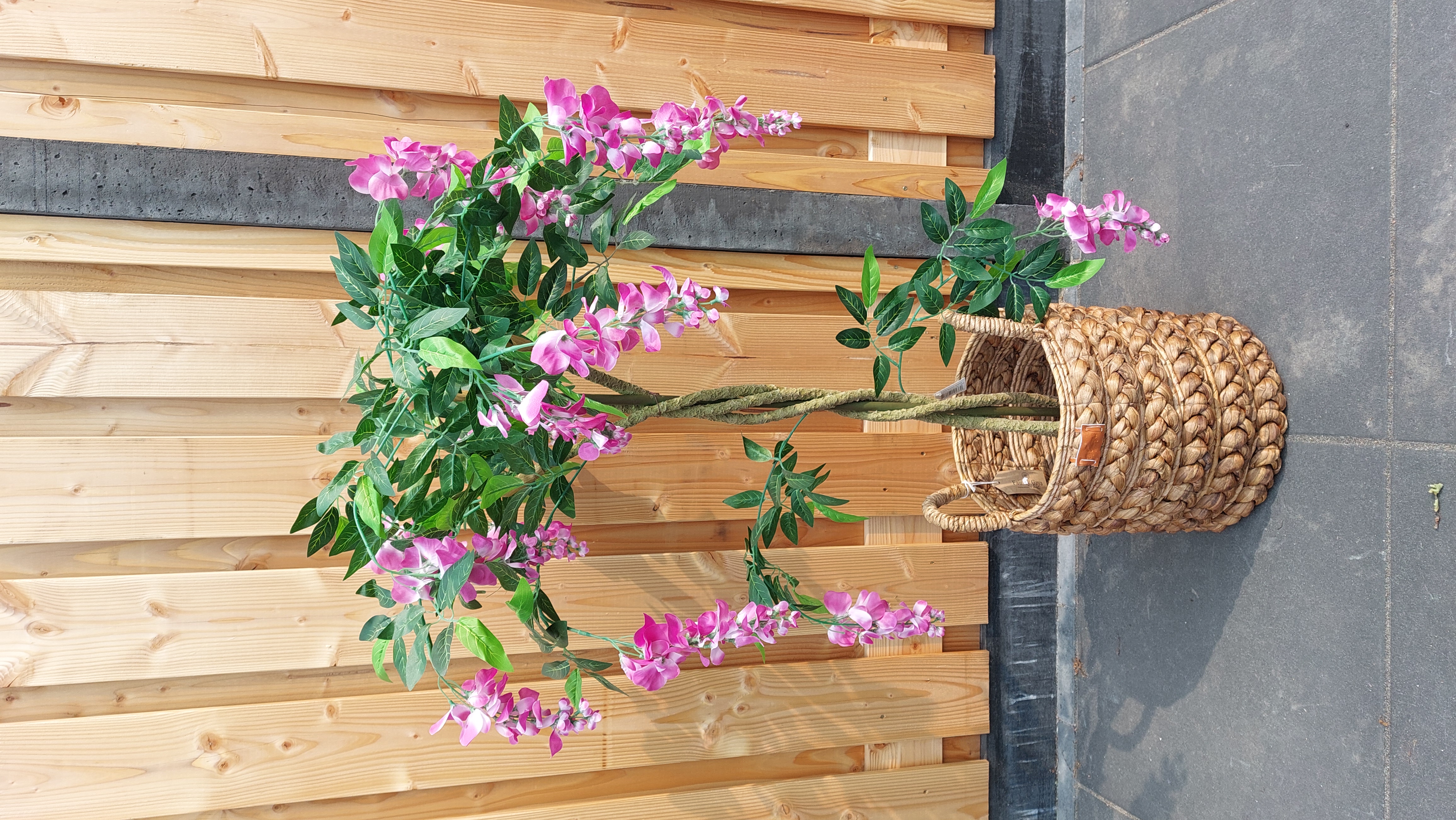 Prachtige luxe grote plant inclusief mand 125 cm hoog