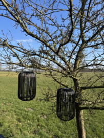  Solar lantaarn per stuk