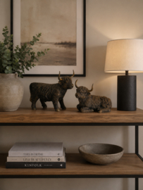 Prachtige xl set schotse hooglanders