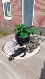 Prachtige luxe Buitenset
