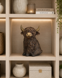 Stoere grote schotse hooglander