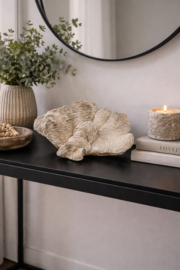 Prachtig Koraal groot