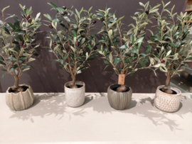 Voor klant de eerste rechts