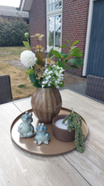 Set van 2 prachtige kikkers