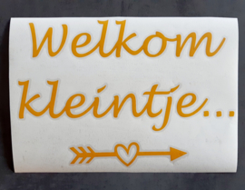 Raamsticker welkom kleintje waslijn