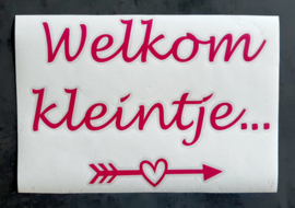 Raamsticker welkom kleintje waslijn