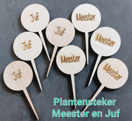 Plantensteker Juf en Meester