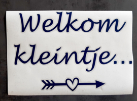 Raamsticker welkom kleintje waslijn