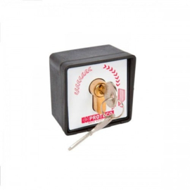 Proteco sleutelschakelaar kunststof,Art. 3811  (QU)