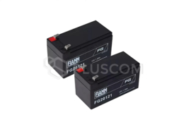 Roger BT12V12 Roger noodbatterij 1,2Ah  (HO)