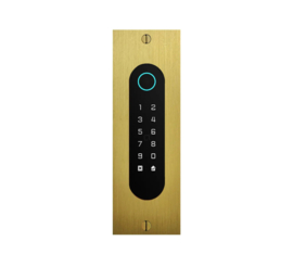 Fasttel FTBG26KF-QR | Codeklavier/Badgelezer/Bluetooth/NFC/QR lezer: 1 relais, Wiegand en Cloud. Bronze goud, inbouw, 62x188x30 mm (HO)