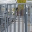 Venus S gemotoriseerde poortsluiter met schuifarm voor draaipoorten voor voetgangers Art. nr. P00017436-SILV prijs per Stuk(s) excl. BTW