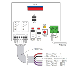 Ditec ZENXR2 Ontvanger tweekanaals, 12/24VDC, 433Mhz, incl. behuizing, voorbekabeld  (HO)