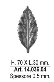 14.036.04~~BLADJE 70X30MM