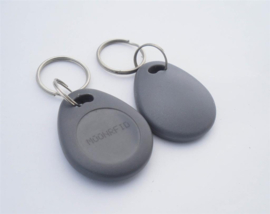 Proximity tag EM 125kHz grijs Art nr. ACC660  (NE)