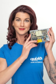 24v gelijkspanning, POWER SUPPLY 24V 150W, Te gebruiken voor uw 24v Codeclavier, electroslot ed.Art. 2415  (QU)