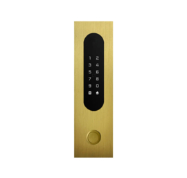 Fasttel FTBG26KPBF | Codeklavier/Badgelezer/Bluetooth/NFC: 1 relais, Wiegand, drukknop en Cloud. Bronze goud, inbouw, 62x211x30 mm (HO)