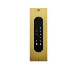 Fasttel FTBG26KF | Codeklavier/Badgelezer/Bluetooth/NFC: 1 relais, Wiegand en Cloud. Bronze goud, inbouw, 62x188x30 mm (HO)