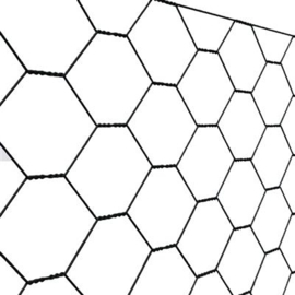 Zeskantgaas 25x1,0x500 mm - geplastificeerd RAL9005 - rol à 25 meter Art. nr. ZV90052510050 prijs per Rol excl. BTW